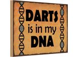 Vianmo Insegna In Legno 20X30 Cm Darts Is In My Dann