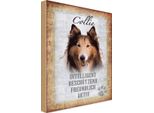Vianmo Insegna In Legno 18X12 Cm Collie Hund Freundlich