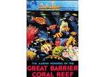 Vianmo Insegna In Legno 30X20 Cm Creat Barrier Coral Reef