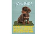 Vianmo Insegna In Legno 30X20 Cm Dackel Hund Lebhaft Mutig Stur