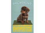 Vianmo Insegna In Legno 30X20 Cm Dachshund Hund Lively Devoted