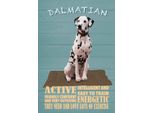 Vianmo Insegna In Legno 30X20 Cm Dalmatian Hund Active And Easy