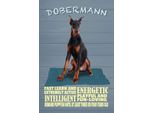 Vianmo Insegna In Legno 18X12 Cm Dobermann Hund Fast Learn And