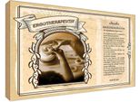 Vianmo Insegna In Legno 20X30 Cm Ergotherapeutin