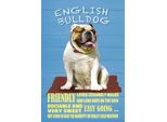 Vianmo Insegna In Legno 30X20 Cm English Bulldog Hund Friendly