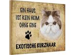 Vianmo Insegna In Legno 12X18 Cm Exotische Kurzhaar Katze