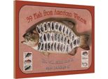 Vianmo Insegna In Legno 12X18 Cm Fisch 39 Fish From American Waters