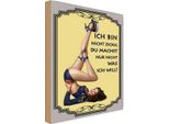 Vianmo Insegna In Legno 30X20 Cm Frau Ich Bin Nicht Zickig