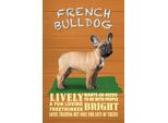 Vianmo Insegna In Legno 30X20 Cm French Bulldog Hund Lively