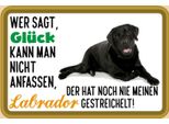 Vianmo Insegna In Legno 20X30 Cm GlüCk Nicht Anfassen Labrador