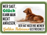 Vianmo Insegna In Legno 20X30 Cm GlüCk Golden Retriever Hund