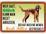 Vianmo Insegna In Legno 20X30 Cm GlüCk Irish Setter Hund