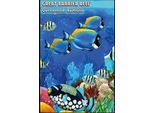 Vianmo Insegna In Legno 18X12 Cm Great Barrier Reef Queensland