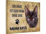 Vianmo Insegna In Legno 20X30 Cm Havana Katze Ohne Kein Heim