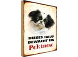 Vianmo Insegna In Legno 30X20 Cm Hund Dieses Haus Bewacht Ein Pekinese