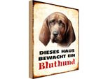 Vianmo Insegna In Legno 30X20 Cm Hund Dieses Haus Bewacht Ein Bluthund