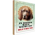 Vianmo Insegna In Legno 18X12 Cm Hund In Diesem Haus Wacht Bluthund