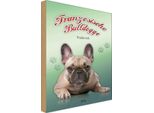 Vianmo Insegna In Legno 30X20 Cm Hund FranzöSische Bulldogge