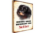 Vianmo Insegna In Legno 30X20 Cm Hund Dieses Haus Bewacht Ein Setter