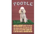 Vianmo Insegna In Legno 30X20 Cm Hund Poodle Loves To Play