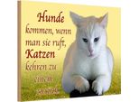 Vianmo Insegna In Legno 12X18 Cm Hunde Kommen Katzen Kehren ZurüCk