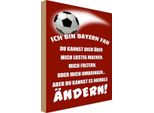 Vianmo Insegna In Legno 30X20 Cm Ich Bin Bayern Fan Fussball