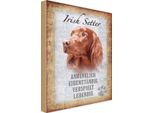 Vianmo Insegna In Legno 30X20 Cm Irish Setter Hund