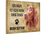 Vianmo Insegna In Legno 20X30 Cm Irish Setter Hund