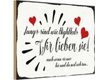 Vianmo Insegna In Legno 12X18 Cm Jungs Sind Wie Highheels Wir