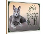 Vianmo Insegna In Legno 20X30 Cm Katze Chartreux Hier Wache Ich