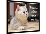 Vianmo Insegna In Legno 20X30 Cm Katze Home Is Where Your Cat