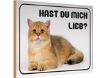 Vianmo Insegna In Legno 12X18 Cm Katze Hast Du Mich Lieb?