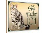 Vianmo Insegna In Legno 20X30 Cm Katze American Shorthair Hier Wache