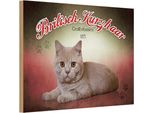 Vianmo Insegna In Legno 12X18 Cm Katze British Kurzhaar GroßBritanien