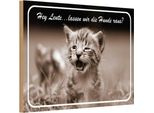 Vianmo Insegna In Legno 20X30 Cm Katze Hey Lassen Wir Die Hunde Raus?