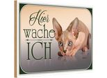 Vianmo Insegna In Legno 20X30 Cm Katze Sphynx Hier Wache Ich