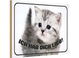 Vianmo Insegna In Legno 12X18 Cm Katze Ich Hab Dich Lieb