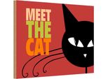 Vianmo Insegna In Legno 12X18 Cm Katze Meet The Cat