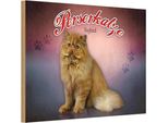 Vianmo Insegna In Legno 12X18 Cm Katze Perserkatze England