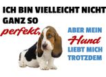 Vianmo Insegna In Legno 20X30 Cm Mein Hund Liebt Mich Trotzdem