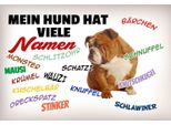 Vianmo Insegna In Legno 20X30 Cm Mein Hund Hat Viele Namen