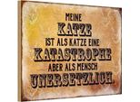 Vianmo Insegna In Legno 12X18 Cm Meine Katze Ist Eine Katastrophe
