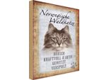 Vianmo Insegna In Legno 30X20 Cm Norvegische Waldkatze Katze Wanddeco