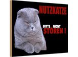 Vianmo Insegna In Legno 20X30 Cm Nutzkatze Bitte Nicht StöRen Schwarz