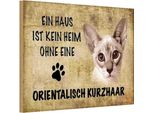 Vianmo Insegna In Legno 12X18 Cm Orientalisch Kurzhaar Katze