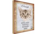 Vianmo Insegna In Legno 30X20 Cm Ocicat Katze Verspielt