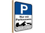 Vianmo Insegna In Legno 18X12 Cm Parkplatzschild Mit Parkausweis