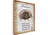 Vianmo Insegna In Legno 30X20 Cm Pekinese Hund