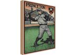 Vianmo Insegna In Legno 30X20 Cm Princeton Baseball