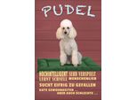 Vianmo Insegna In Legno 18X12 Cm Pudel Hochintelligent Lieb Hund
